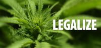 legalize Cannabis