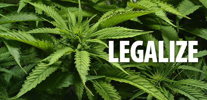 legalize_pflanzen