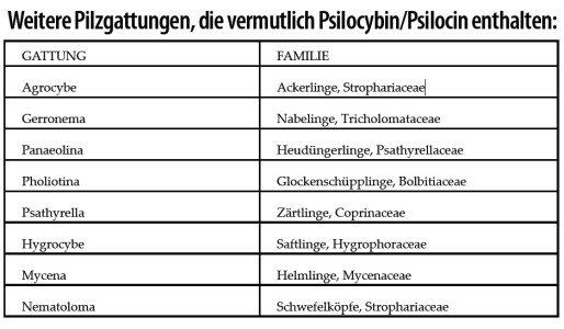 Weitere-Pilzgattungen-Psilocybe-Pilze-Zauberpilze-Tabelle-Übersicht