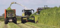 gras-wirtschaftsfaktor-trecker-traktor-feld-landwirtschaft-faserhanf-fasern-industrie-hempflax