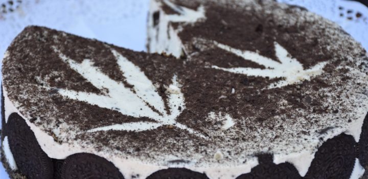 Haschkuchen-Kuchen-Cannabis-Backen-suess-essen