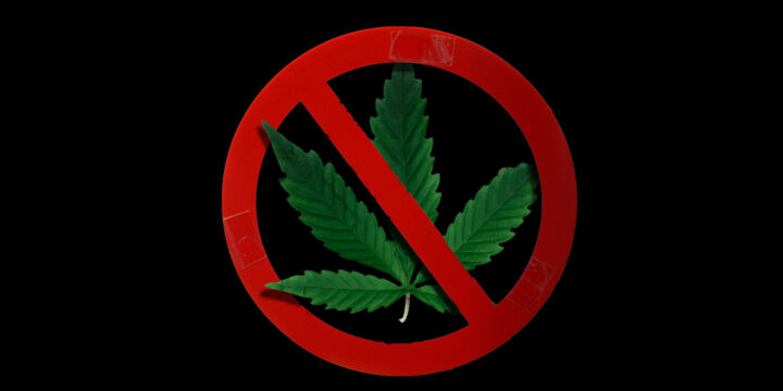 Suchtmittel-Experte, Verbot, Cannabis