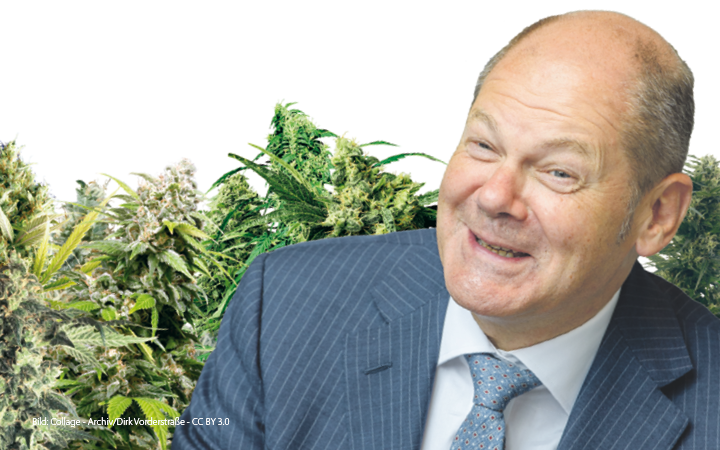 Olaf, wo bleibt die Cannabis-Legalisierung? Scholz, Bundeskanzler, SPD